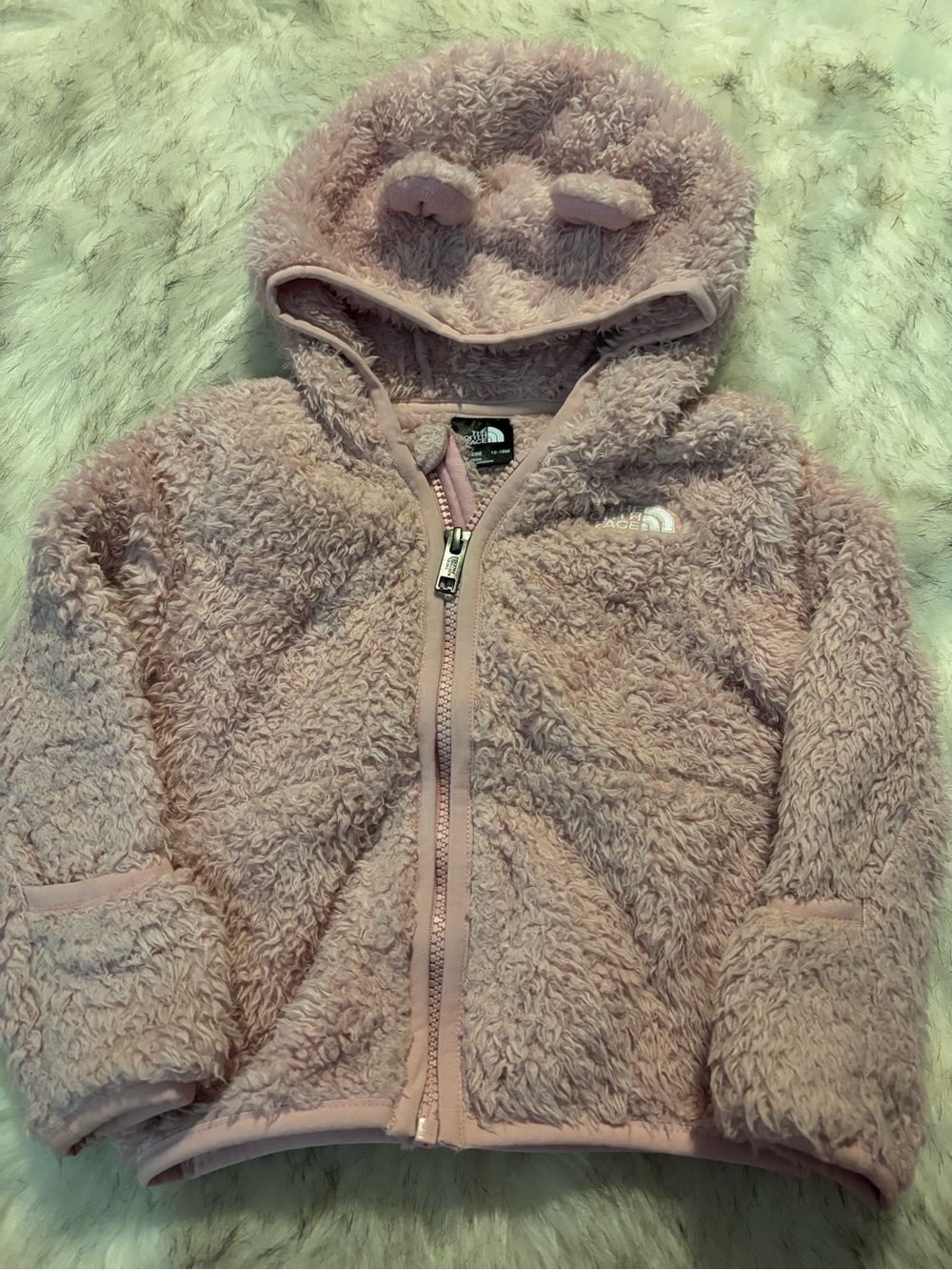 The North Face Blush Pink Teddy Fleece Hoodie